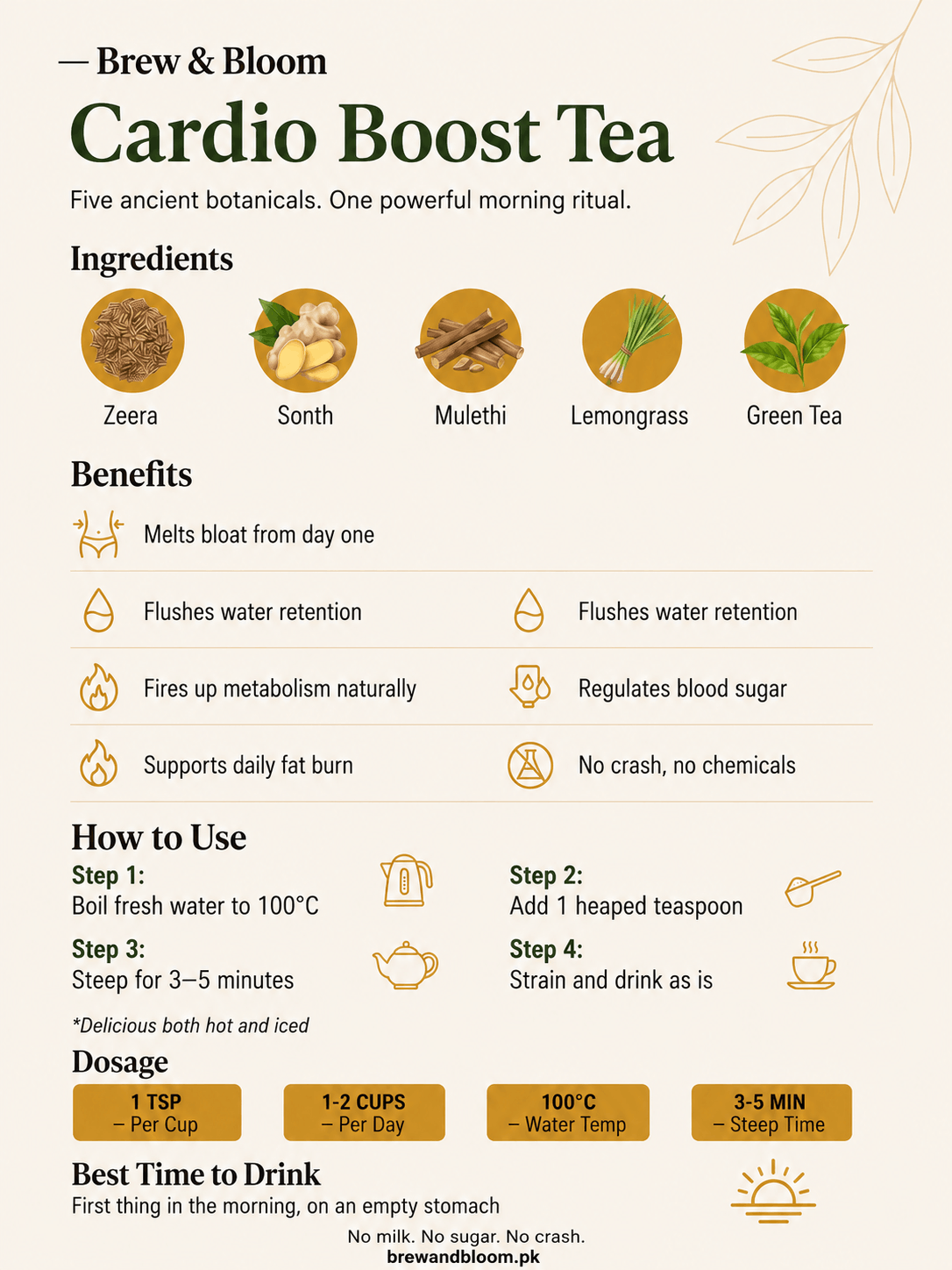 The Complete Guide